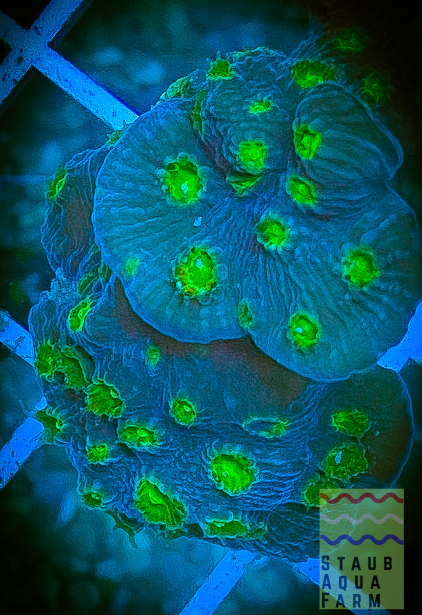 image_a5bfeb46-b203-4489-b0b8-